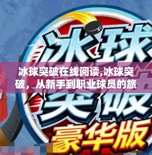 冰球突破在线阅读,冰球突破，从新手到职业球员的旅程