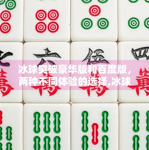 冰球突破豪华版和百度版，两种不同体验的选择,冰球突破豪华版和百度版