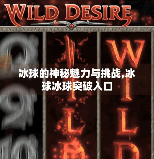 冰球的神秘魅力与挑战,冰球冰球突破入口