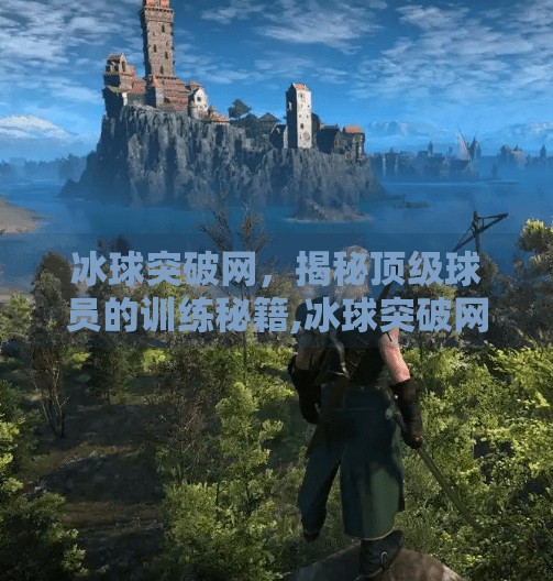 冰球突破网，揭秘顶级球员的训练秘籍,冰球突破网