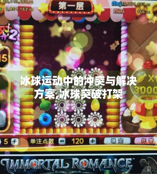 冰球运动中的冲突与解决方案,冰球突破打架