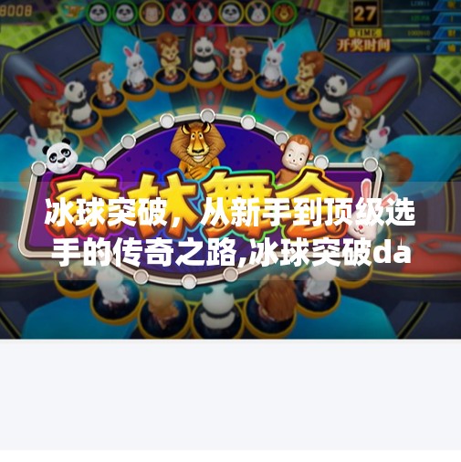 冰球突破，从新手到顶级选手的传奇之路,冰球突破dajiang