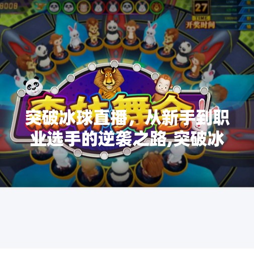 突破冰球直播，从新手到职业选手的逆袭之路,突破冰球直播