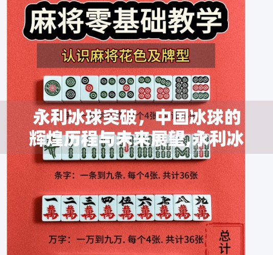 永利冰球突破，中国冰球的辉煌历程与未来展望,永利冰球突破