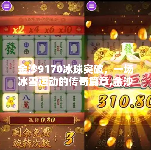 金沙9170冰球突破，一场冰雪运动的传奇篇章,金沙9170冰球突破