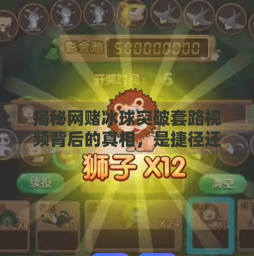 揭秘网赌冰球突破套路视频背后的真相，是捷径还是陷阱？网赌冰球突破套路视频