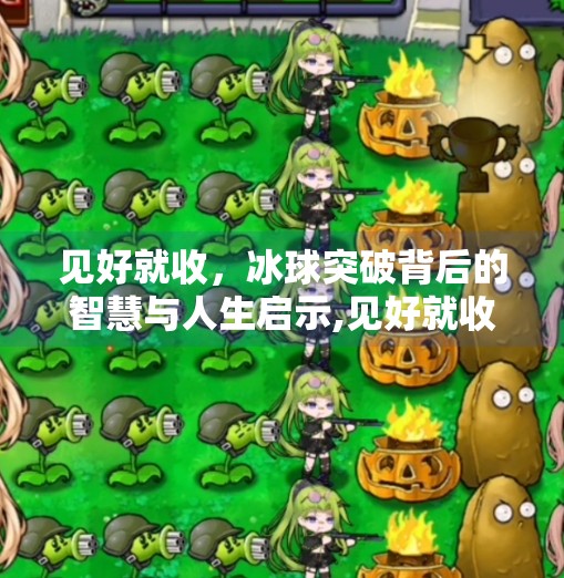 见好就收，冰球突破背后的智慧与人生启示,见好就收冰球突破