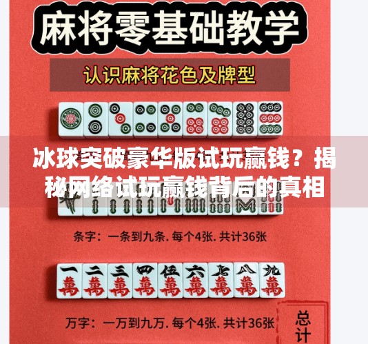 冰球突破豪华版试玩赢钱？揭秘网络试玩赢钱背后的真相与风险,冰球突破豪华版试玩赢钱