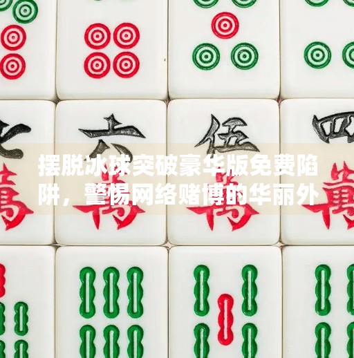 摆脱冰球突破豪华版免费陷阱，警惕网络赌博的华丽外衣,摆脱冰球突破豪华版免费