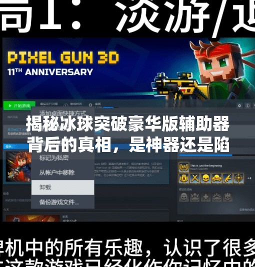 揭秘冰球突破豪华版辅助器背后的真相，是神器还是陷阱？冰球突破豪华版辅助器
