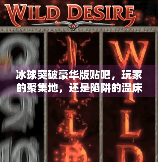 冰球突破豪华版贴吧，玩家的聚集地，还是陷阱的温床？冰球突破豪华版贴吧