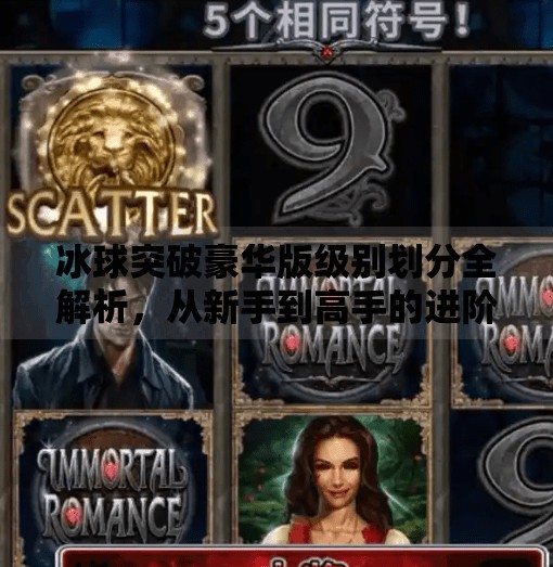 冰球突破豪华版级别划分全解析，从新手到高手的进阶之路,冰球突破豪华版级别划分